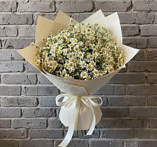 Букет Кустики радости в Чехове Букет цветов из:  Ромашки в Чехове