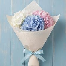 Букет Нежная гортензия в Чехове Букет цветов из:  Гортензия в Чехове